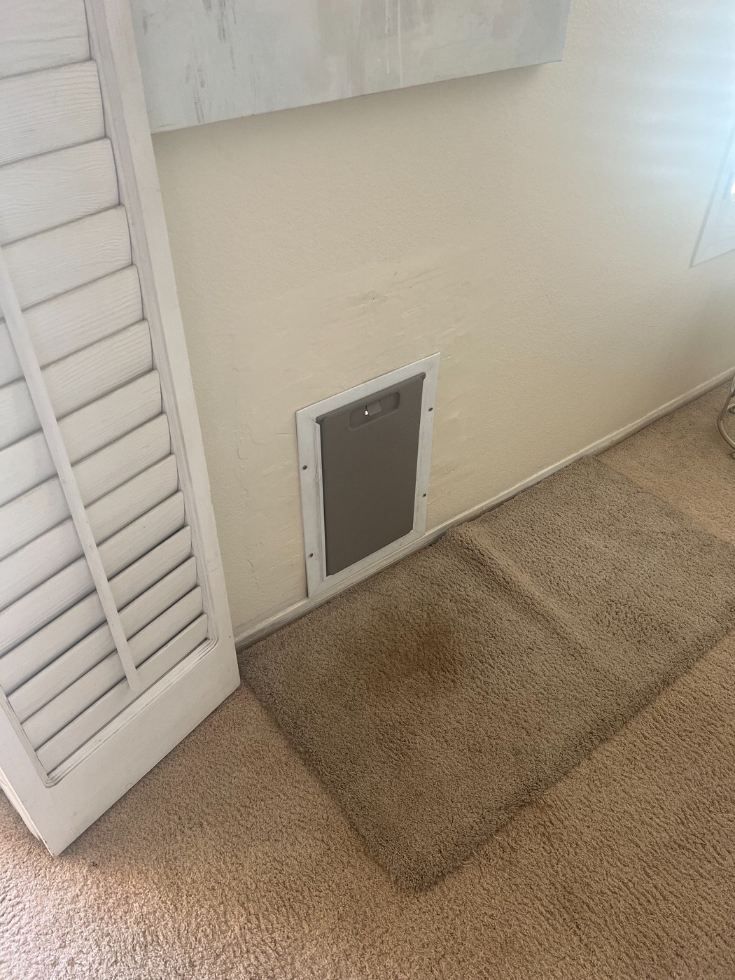 Installed doggie door by G&P Property Solutions